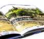 Preview: BMX Book Maintain IV.V Derailed