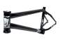 Preview: Frame S&M REA Levenson Signature