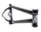 Preview: Frame S&M REA Levenson Signature