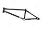 Preview: Frame S&M REA Levenson Signature