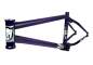 Preview: Frame S&M REA Levenson Signature
