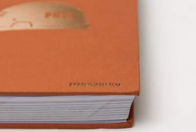 BMX Book 30 Years Of POSH