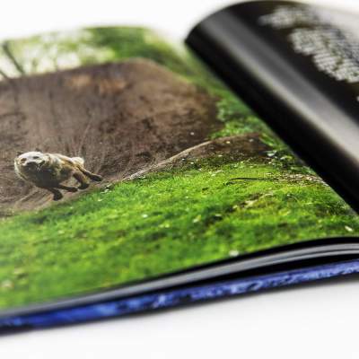 BMX Book Maintain IV.V Derailed