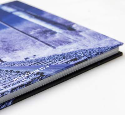 BMX Book Maintain IV.V Derailed